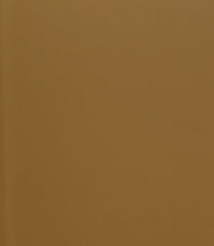 Burghley FR Vinyl Leather Fabric / Ochre