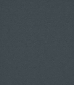 Laundered Linen Fabric / Ink