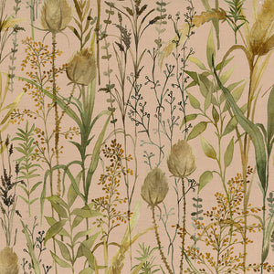 Lydiard Fabric / Apricot