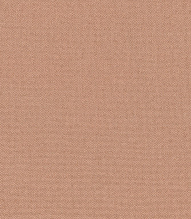 Oxford Fabric / Blush - Just Fabrics