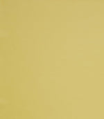 Burghley FR Vinyl Leather Fabric / Sunshine - Just Fabrics