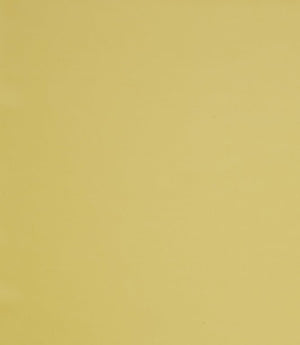 Burghley FR Vinyl Leather Fabric / Sunshine