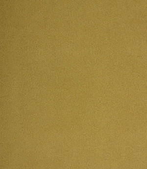 Cotswold Velvet FR Fabric / Celery