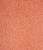 Plains / Semi Plains - Cosy Velvet FR