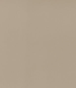 Rio FR Fabric / Almond