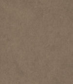 Albury Faux Leather FR Fabric / Fawn - Just Fabrics