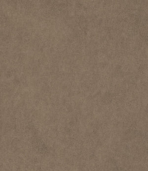 Albury Faux Leather FR Fabric / Fawn