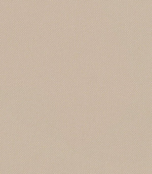 Oxford Fabric / Ecru