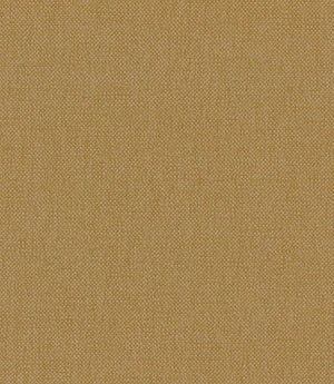 Oxford Fabric / Mustard