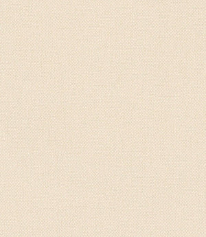 Oxford FR Fabric / Ivory