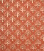 Contemporary - Great Oak