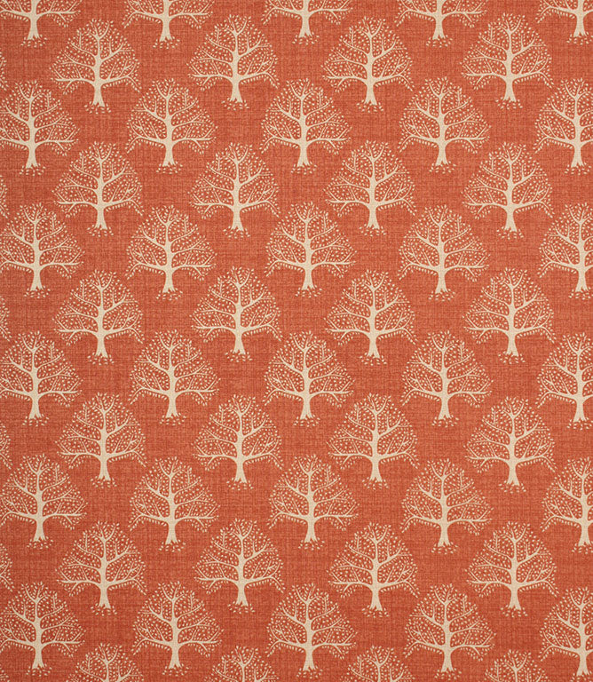 Contemporary - Great Oak