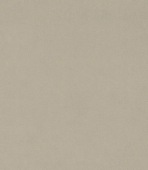 Dorton Fabric / Marzipan