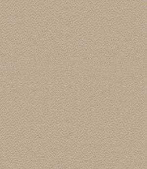 Apollo FR Fabric / Taupe