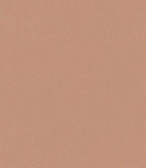 Oxford FR Fabric / Blush