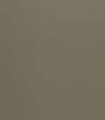 Burghley FR Vinyl Leather Fabric / Biscuit - Just Fabrics