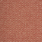 Plains / Semi Plains - Summit