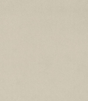 Dorton Fabric / Snowdrop