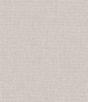 Jumbo Fabric / Chalk