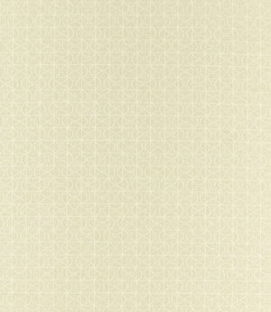 Notion Fabric / Linen