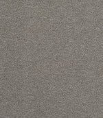 Carwyn Fabric / Ash - Just Fabrics