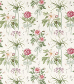 Cupid's Beau Fabric / Parchment / Madder - Just Fabrics