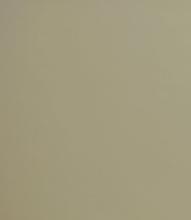 Burghley FR Vinyl Leather Fabric / Sand - Just Fabrics