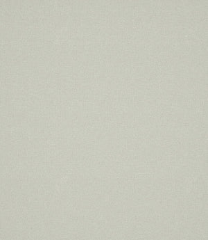 Laundered Linen Fabric / Limewash