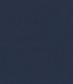 Oxford Fabric / Indigo