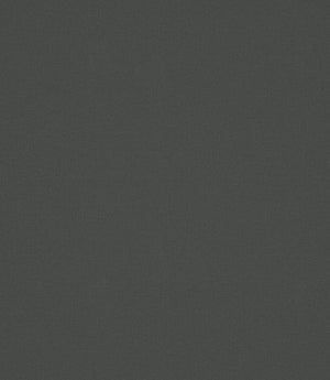 Laundered Linen Fabric / Charcoal