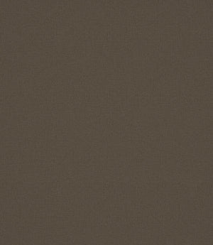 Laundered Linen Fabric / Bitter