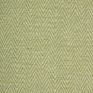 Plains / Semi Plains - Summit