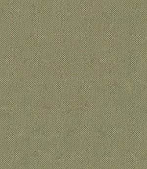 Oxford FR Fabric / Celery