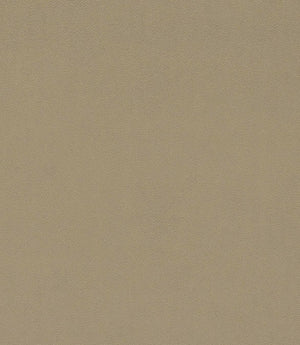 Dorton Fabric / Oatmeal