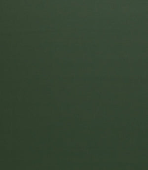 Burghley FR Vinyl Leather Fabric / Forest