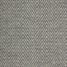 Plains / Semi Plains - Summit