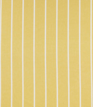 Waterbury Fabric / Citrus