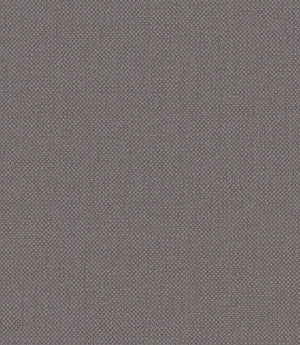 Oxford Fabric / Dove