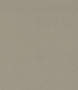 Dorton Fabric / Tawny