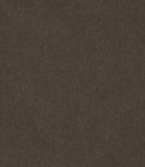 Albury Faux Leather FR Fabric / Aniline