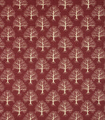 Contemporary - Great Oak