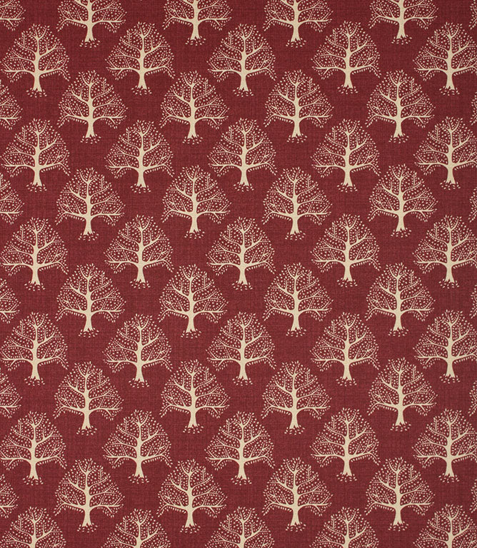 Contemporary - Great Oak