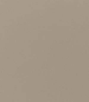 Rio FR Fabric / Mushroom