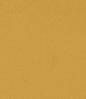 Dorton Fabric / Saffron