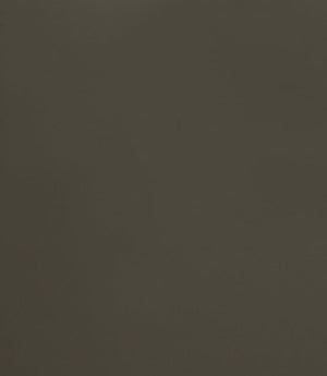 Burghley FR Vinyl Leather Fabric / Mushroom