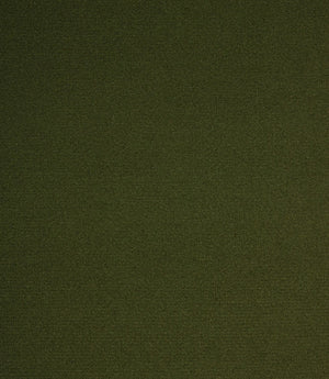 Cotswold Velvet FR Fabric / Vine