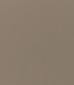 Rio FR Fabric / Putty - Just Fabrics