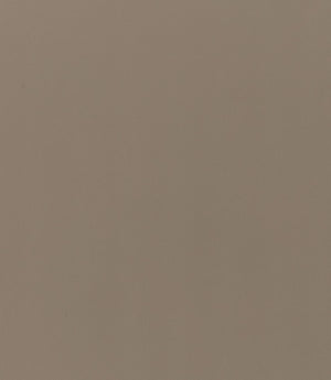 Rio FR Fabric / Putty