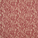 Traditional - Wild Grasses