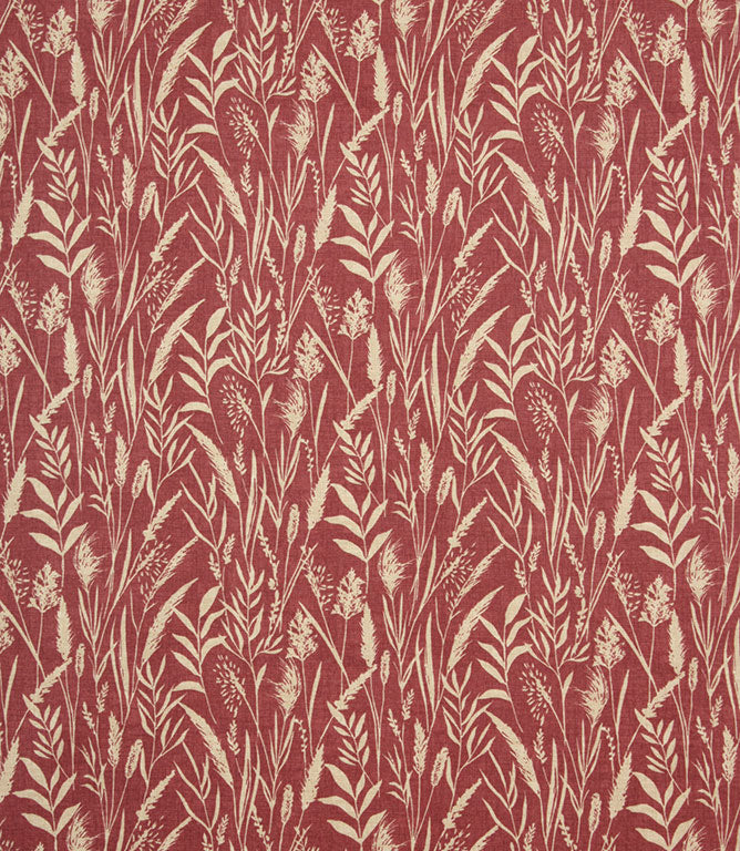 Traditional - Wild Grasses